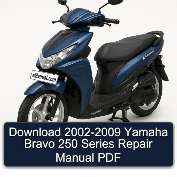 Download 2002-2009 Yamaha Bravo 250 Series Repair Manual PDF