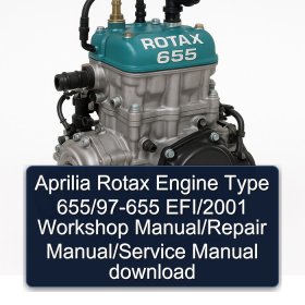 Aprilia Rotax Engine Type 655/97-655 EFI/2001 Workshop Manual/Repair Manual/Service Manual download