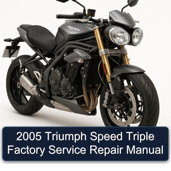 2005 Triumph Speed Triple Factory Service Repair Manual