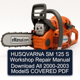 HUSQVARNA SM 125 S Workshop Repair Manual Download All 2000-2003 ModelS COVERED PDF