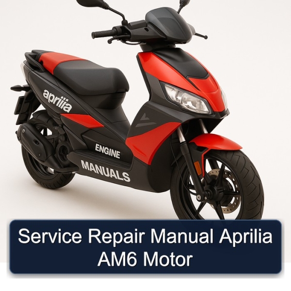 Service Repair Manual Aprilia AM6 Motor
