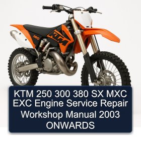 KTM 250 300 380 SX MXC EXC Engine Service Repair Workshop Manual 2003 ONWARDS