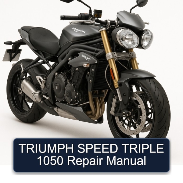 TRIUMPH SPEED TRIPLE 1050 Repair Manual