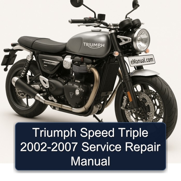 Triumph Speed Triple 2002-2007 Service Repair Manual