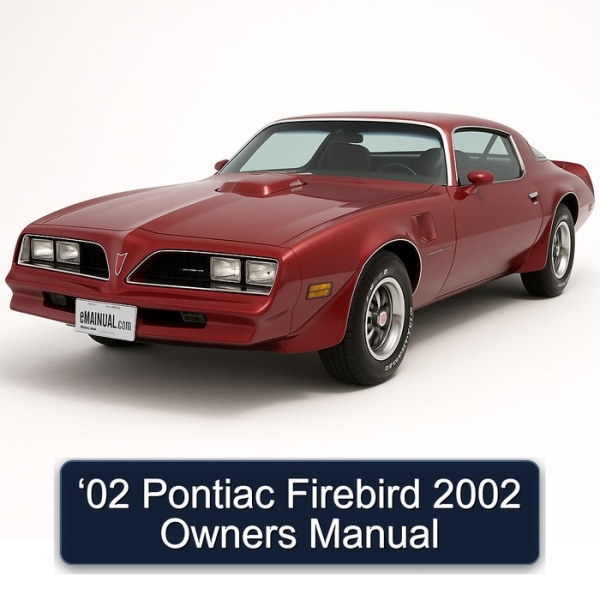 ‘02 Pontiac Firebird 2002 Owners Manual