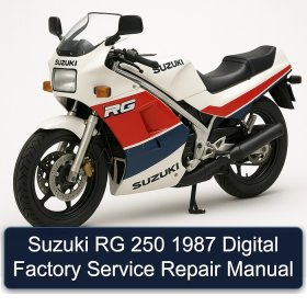 Suzuki RG 250 1987 Digital Factory Service Repair Manual