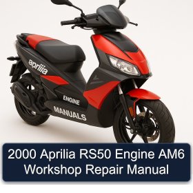2000 Aprilia RS50 Engine AM6 Workshop Repair Manual