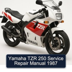 Yamaha TZR 250 Service Repair Manual 1987