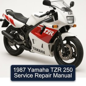 1987 Yamaha TZR 250 Service Repair Manual