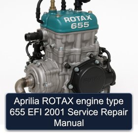 Aprilia ROTAX engine type 655 EFI 2001 Service Repair Manual