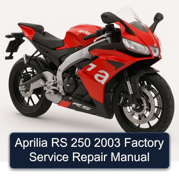Aprilia RS 250 2003 Factory Service Repair Manual