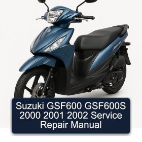 Suzuki GSF600 GSF600S 2000 2001 2002 Service Repair Manual