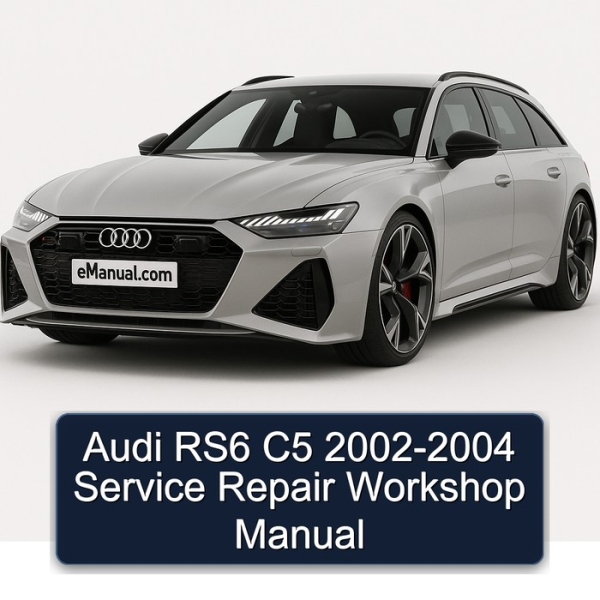 Audi RS6 C5 2002-2004 Service Repair Workshop Manual
