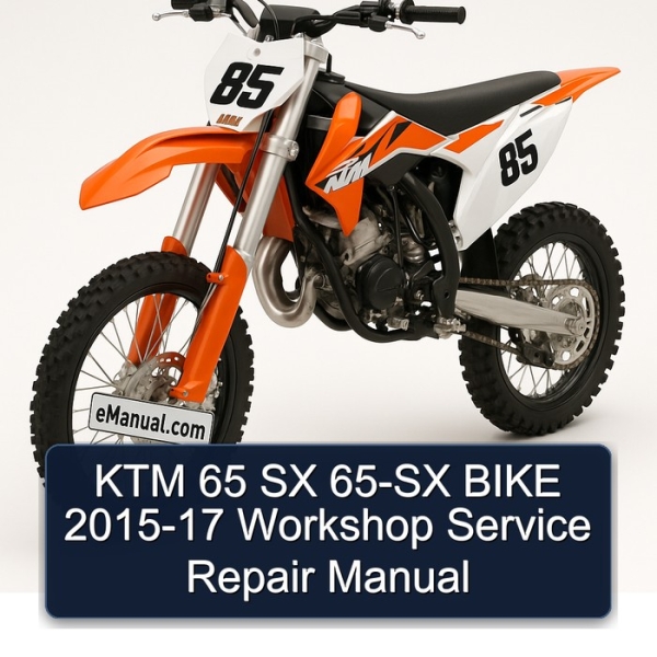 KTM 65 SX 65-SX BIKE 2015-17 Workshop Service Repair Manual
