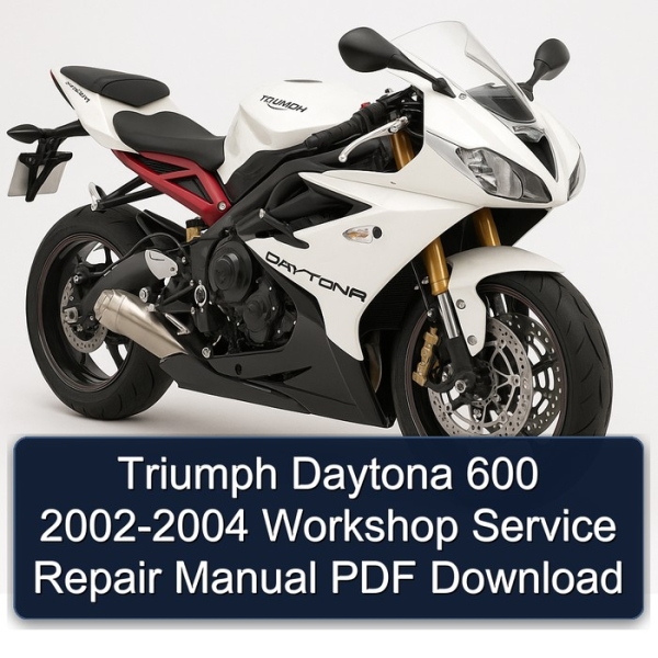 Triumph Daytona 600 2002-2004 Workshop Service Repair Manual PDF Download
