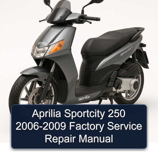 Aprilia Sportcity 250 2006-2009 Factory Service Repair Manual