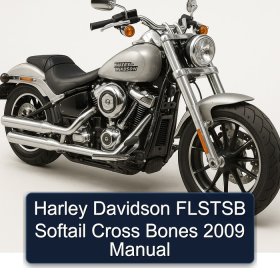 Harley Davidson FLSTSB Softail Cross Bones 2009 Manual