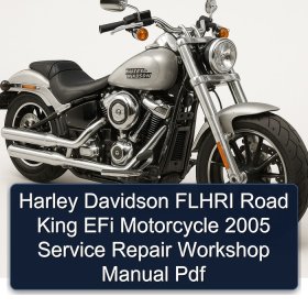 Harley Davidson FLHRI Road King EFi Motorcycle 2005 Service Repair Workshop Manual Pdf