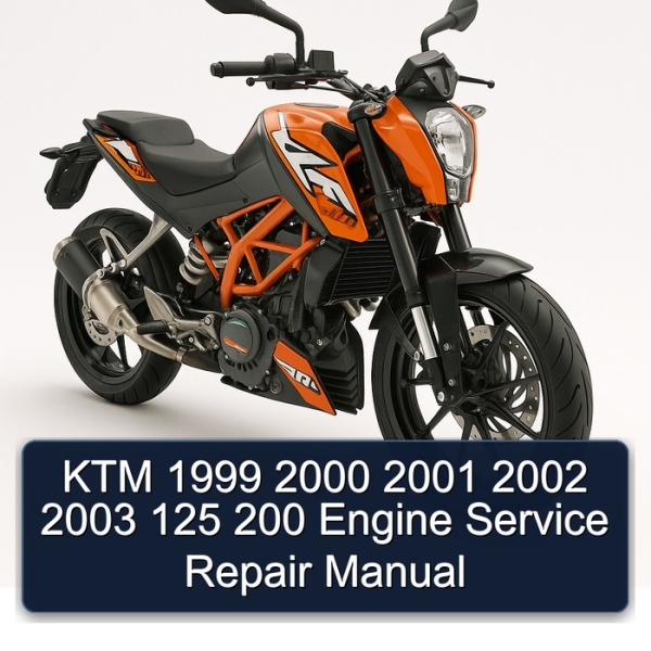 KTM 1999 2000 2001 2002 2003 125 200 Engine Service Repair Manual