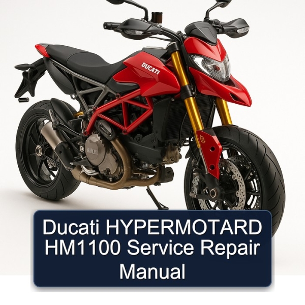 Ducati HYPERMOTARD HM1100 Service Repair Manual