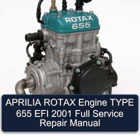 APRILIA ROTAX Engine TYPE 655 EFI 2001 Full Service Repair Manual