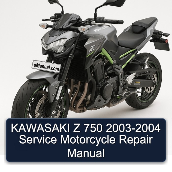 KAWASAKI Z 750 2003-2004 Service Motorcycle Repair Manual