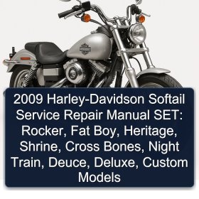 2009 Harley-Davidson Softail Service Repair Manual SET: Rocker, Fat Boy, Heritage, Shrine, Cross Bones, Night Train, Deuce, Deluxe, Custom Models