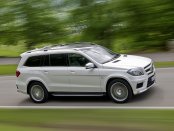 2011 Mercedes-Benz G Class GL350 BLUETEC Owners Manual