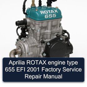 Aprilia ROTAX engine type 655 EFI 2001 Factory Service Repair Manual