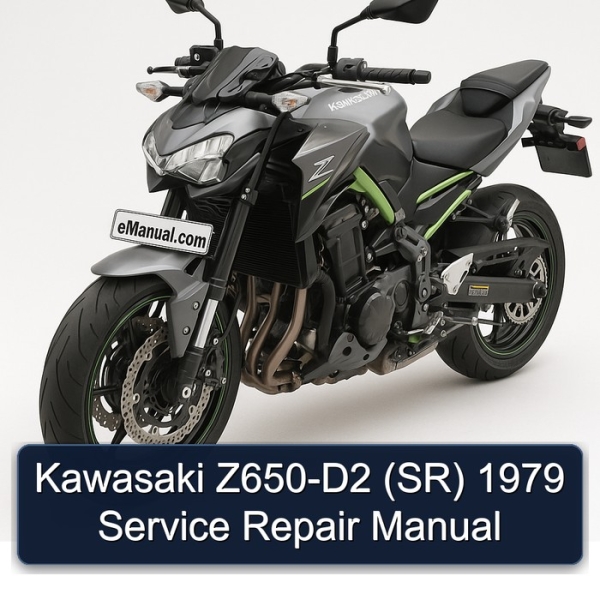 Kawasaki Z650-D2 (SR) 1979 Service Repair Manual