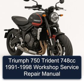 Triumph 750 Trident 748cc 1991-1998 Workshop Service Repair Manual