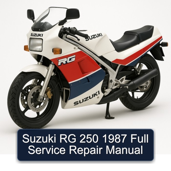Suzuki RG 250 1987 Full Service Repair Manual