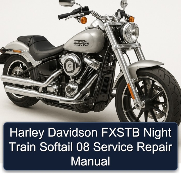 Harley Davidson FXSTB Night Train Softail 08 Service Repair Manual