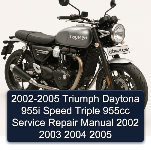 2002-2005 Triumph Daytona 955i Speed Triple 955cc Service Repair Manual 2002 2003 2004 2005