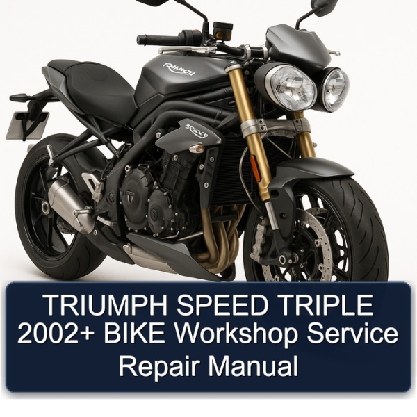TRIUMPH SPEED TRIPLE 2002+ BIKE Workshop Service Repair Manual