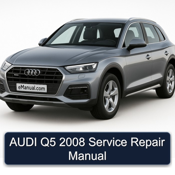 AUDI Q5 2008 Service Repair Manual