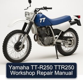 Yamaha TT-R250 TTR250 Workshop Repair Manual