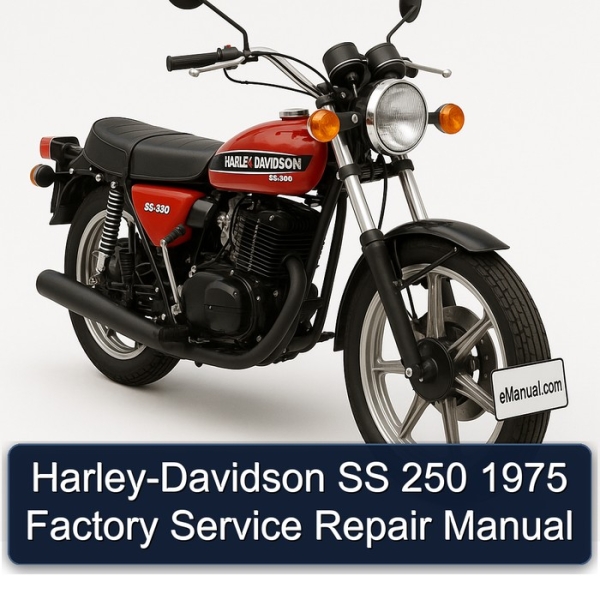 Harley-Davidson SS 250 1975 Factory Service Repair Manual