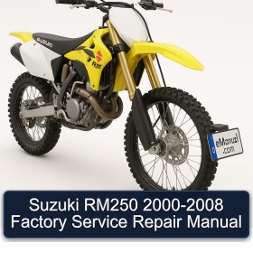 Suzuki RM250 2000-2008 Factory Service Repair Manual