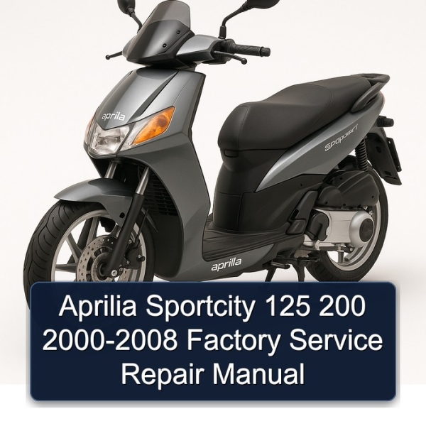 Aprilia Sportcity 125 200 2000-2008 Factory Service Repair Manual