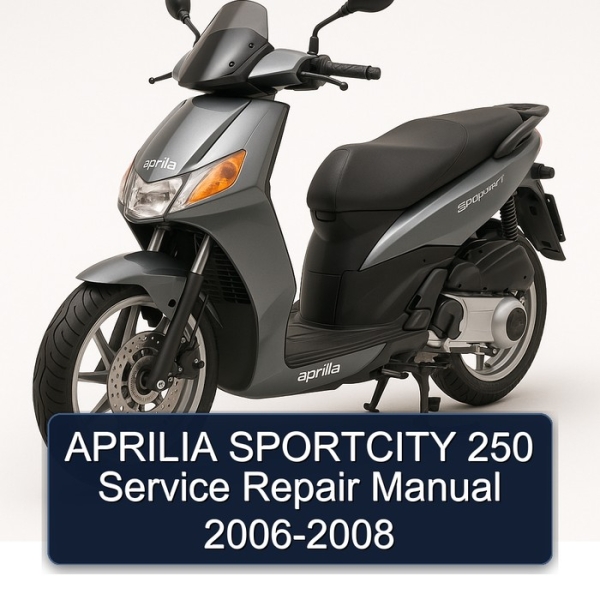 APRILIA SPORTCITY 250 Service Repair Manual 2006-2008