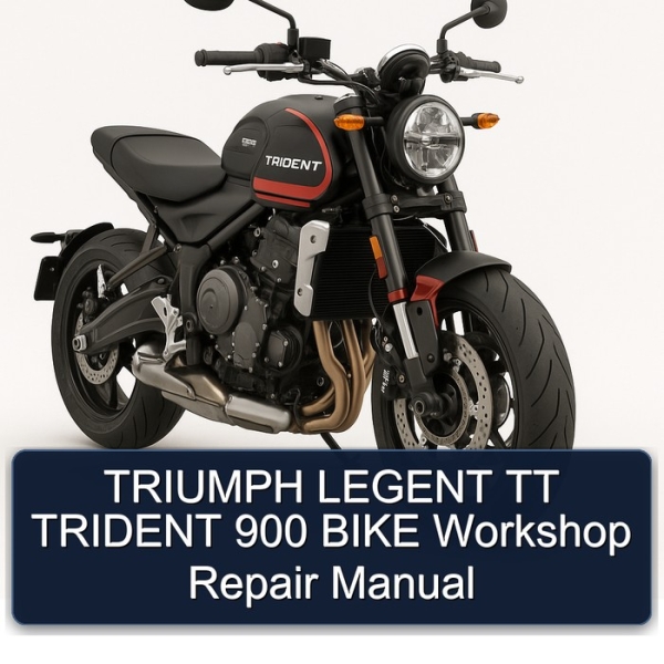 TRIUMPH LEGENT TT TRIDENT 900 BIKE Workshop Repair Manual