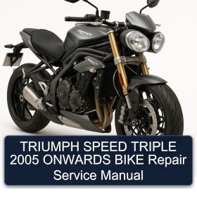 TRIUMPH SPEED TRIPLE 2005 ONWARDS BIKE Repair Service Manual
