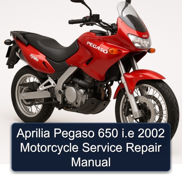 Aprilia Pegaso 650 i.e 2002 Motorcycle Service Repair Manual