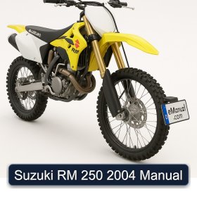 Suzuki RM 250 2004 Manual