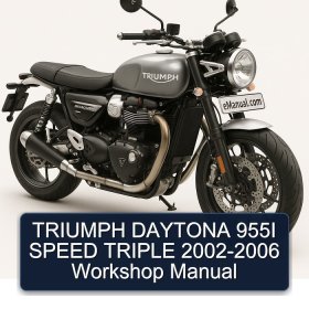 TRIUMPH DAYTONA 955I SPEED TRIPLE 2002-2006 Workshop Manual