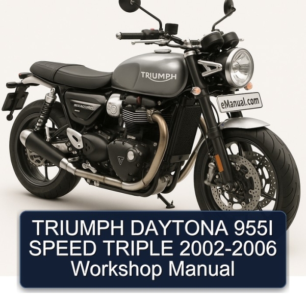 TRIUMPH DAYTONA 955I SPEED TRIPLE 2002-2006 Workshop Manual
