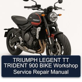 TRIUMPH LEGENT TT TRIDENT 900 BIKE Workshop Service Repair Manual