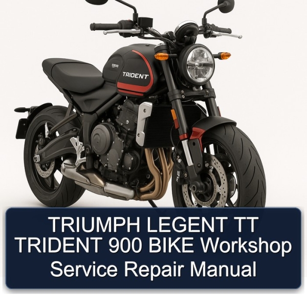 TRIUMPH LEGENT TT TRIDENT 900 BIKE Workshop Service Repair Manual
