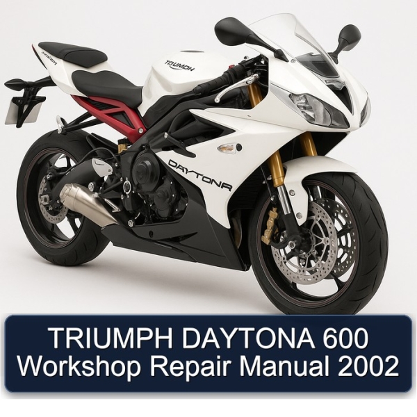 TRIUMPH DAYTONA 600 Workshop Repair Manual 2002